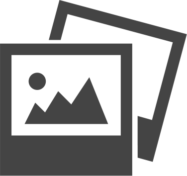 A polaroid picture icon coloured grey.